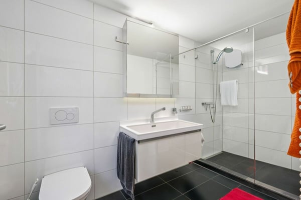 Freistehendes 1.5-Zimmer-Einfamilienhaus mit Garten 8