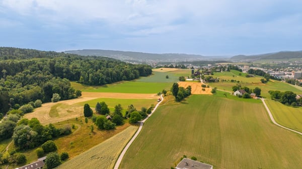 6.5-Zimmer-Einfamilienhaus mit Blick ins Grüne 13