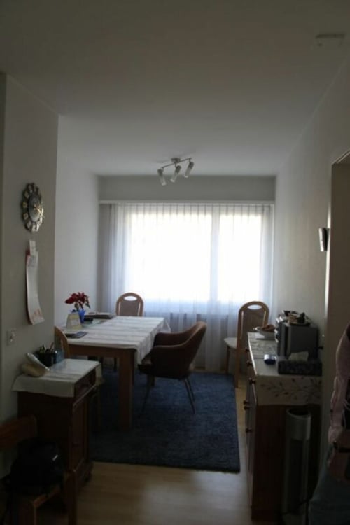 3,5 Zimmer Wohnung am Stadtrand und doch zentral 6