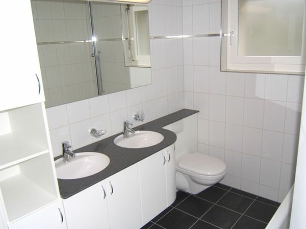 Grosszügige Attika-Wohnung zu vermieten 8