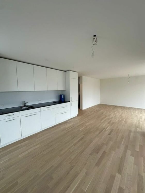 Neubau 3.5-Zimmerwohnung an zentraler Lage in Hedingen zu vermieten 2