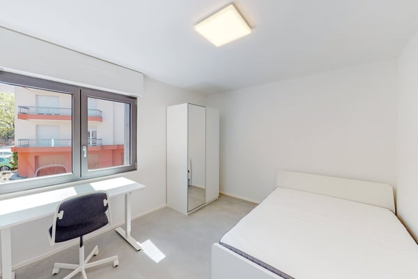 VIVERE E STUDIARE NEL CUORE DI MENDRISIO 1