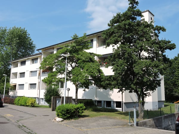 Einstellplaz in Aesch zu vermieten 2