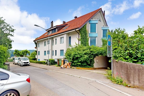 Doppeleinstellplatz im schönen Höngg 11