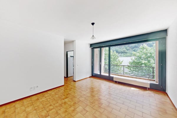 Ampio e funzionale 1.5 locali 7