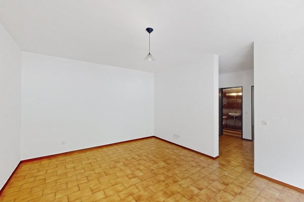 Ampio e funzionale 1.5 locali 8