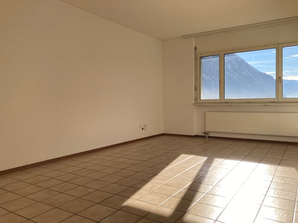 Pratico 1.5 locali immerso nel verde 4