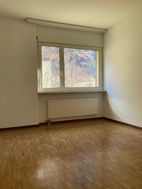 Pratico 1.5 locali immerso nel verde 9