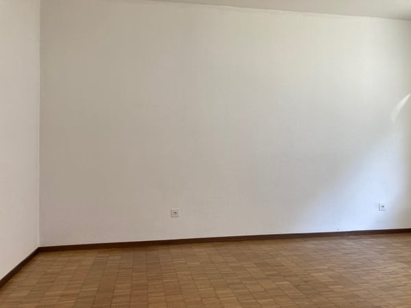 Pratico 1.5 locali immerso nel verde 10