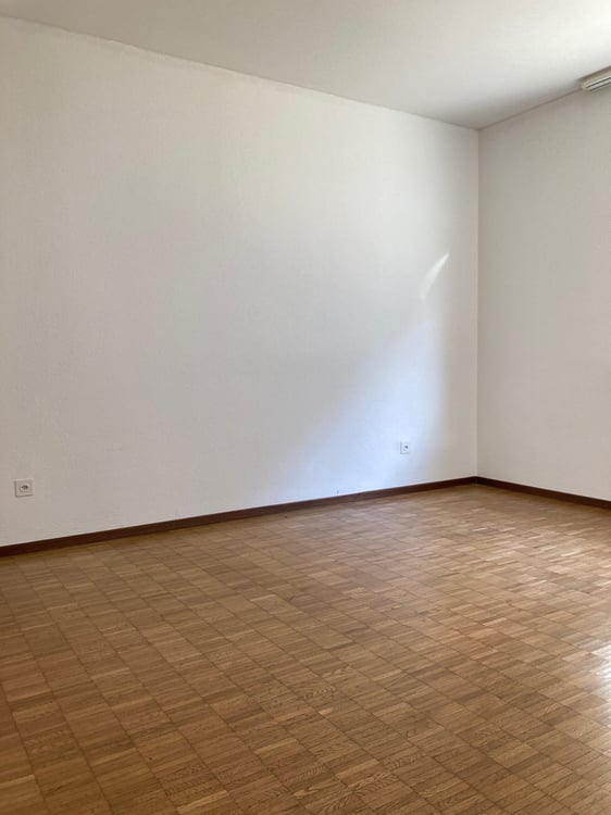 Pratico 1.5 locali immerso nel verde 6