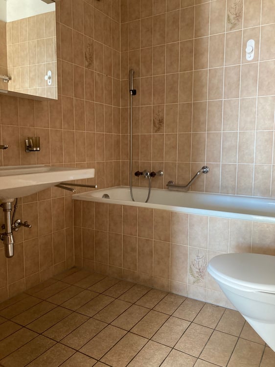 Luminoso 1.5 locali con balcone e parco 6