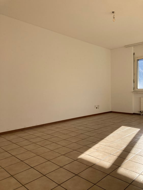 Luminoso 1.5 locali con balcone e parco 5