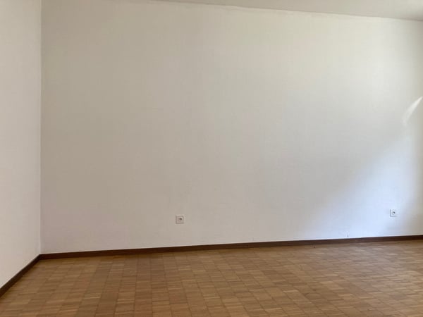 Luminoso 1.5 locali con balcone e parco 11