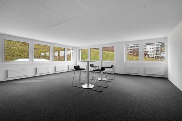 Ihre neuen Räumlichkeiten - ausgebauter Büroraum 2