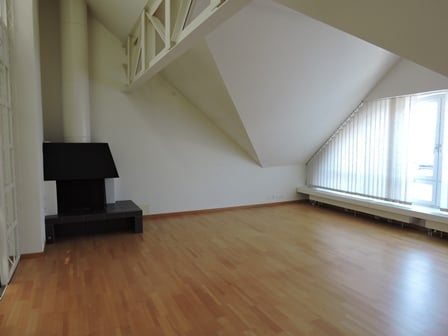 Geniale Dachwohnung im Stadtzentrum von Winterthur 3