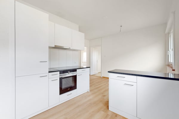 Logement spacieux et lumineux 5