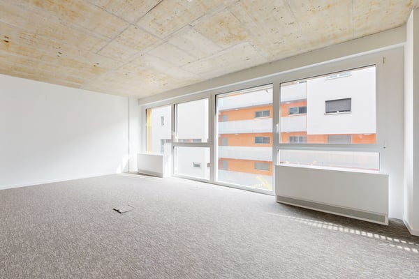 Emplacement stratégique entre Lausanne et Genève! 3