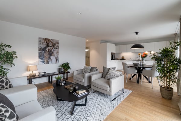 Sonnenstunden auf der Attikaterrasse gesucht? 3