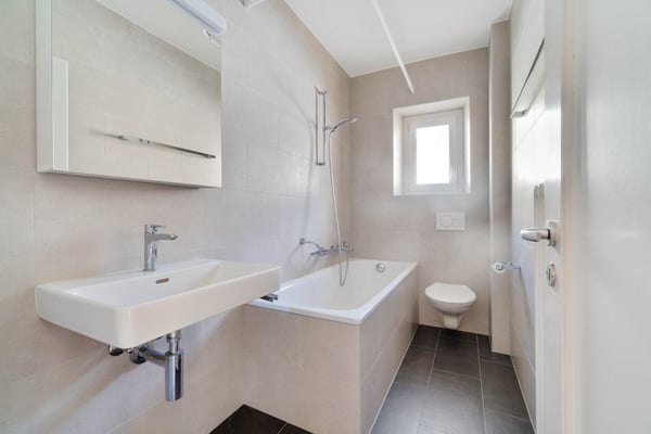 Magnifique logement avec vue sur le lac 7