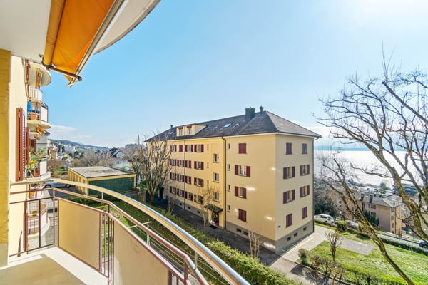 Magnifique logement avec vue sur le lac 8