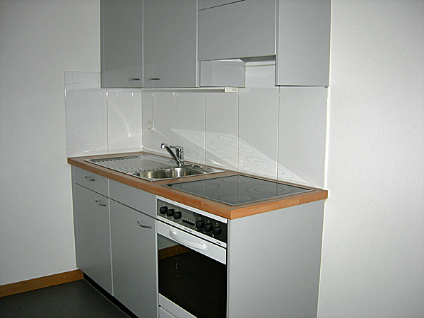 Wohnung in Zürich-Höngg an ruhiger Lage 3