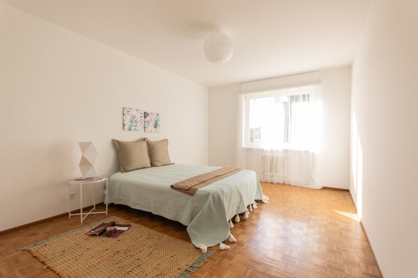 Spazioso, luminoso e tranquillo: il 1.5 locali che cercavi 7