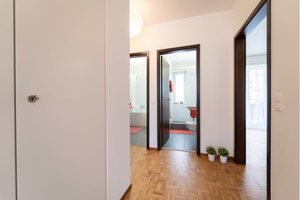 Spazioso, luminoso e tranquillo: il 1.5 locali che cercavi 11