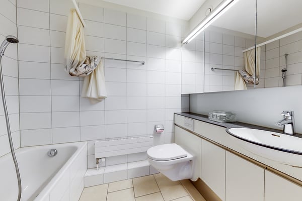 Logement spacieux et lumineux 4