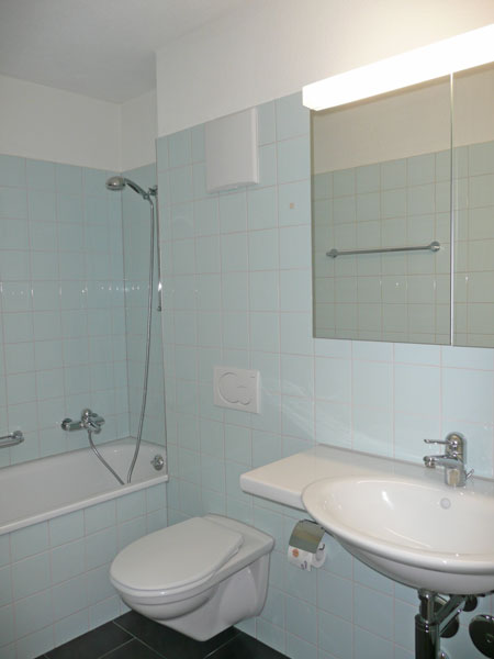 Geniale Wohnung an begrünter Lage in Uster 4