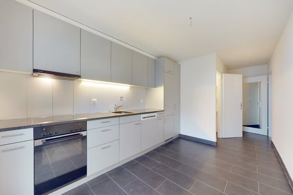 Appartement avec magnifique vue sur le lac ! 6