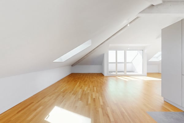 Superbe loft sous les combles 2