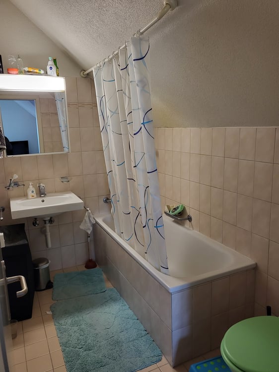 Zentrale Wohnung in Zürich Höngg 3