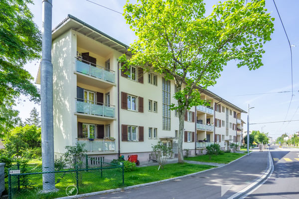 Aufgepasst! Ihr neues Zuhause in Biel 2