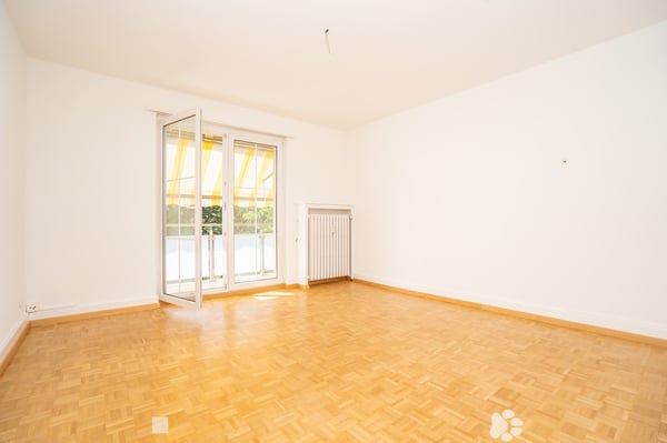 Aufgepasst! Ihr neues Zuhause in Biel 3