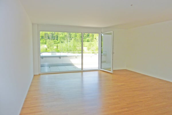 Moderne Attikawohnung am Wildbach 2