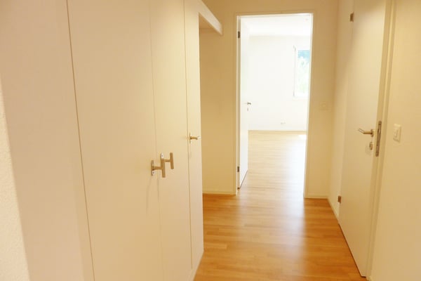 Moderne Attikawohnung am Wildbach 10