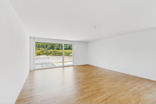 Moderne Attikawohnung am Wildbach mit wundervoller Terrasse 4