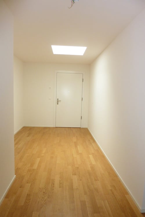 Moderne Attikawohnung am Wildbach 8