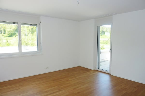 Moderne Attikawohnung am Wildbach 6