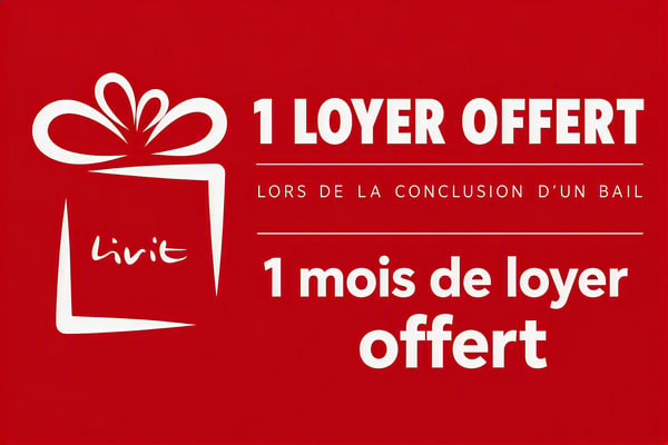 Magnifique duplex - 1 mois de loyer offert 12