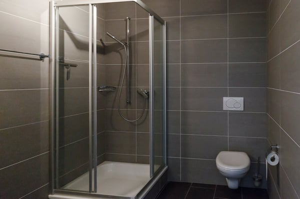 Magnifique duplex - 1 mois de loyer offert 6