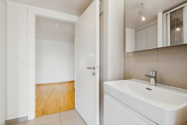 Vivre dans un logement moderne à deux pas du lac Léman ! 11