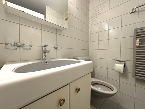 Grosszügige Maisonettewohnung sucht neue Mieter! 9