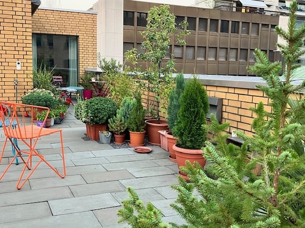 Einzigartige Maisonettewohnung - Mitten im Geschehen! 5