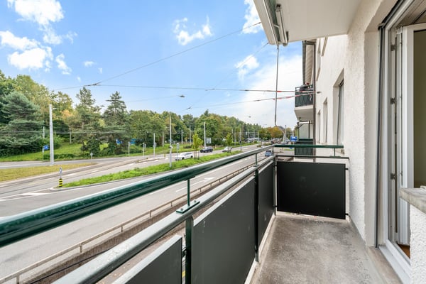 Die perfekte Wohnung Nähe Irchelpark - frisch saniert! 4