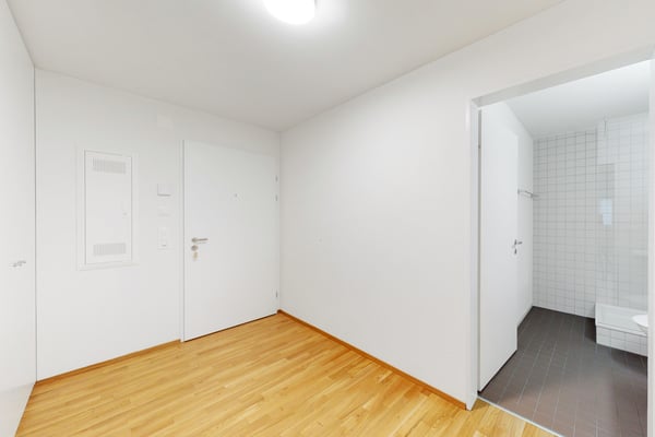 Ihr neues Zuhause in Luzern modern, zentral, komfortabel 5