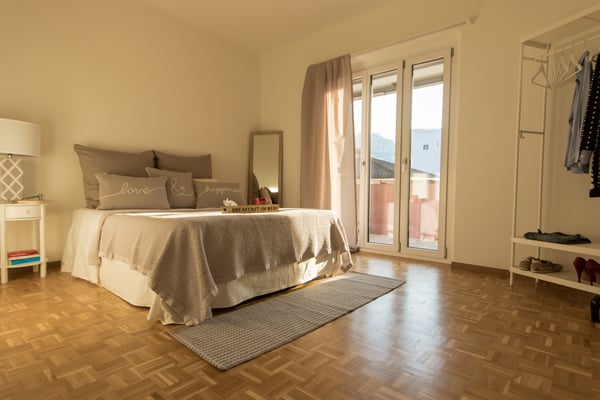 Luce, tranquillità e vista aperta sui Castelli di Bellinzona 7