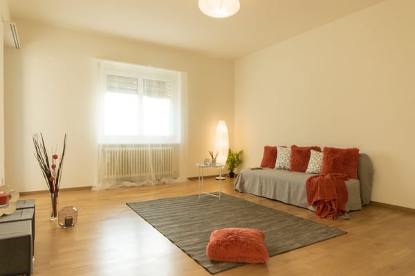 Luce, tranquillità e vista aperta sui Castelli di Bellinzona 4