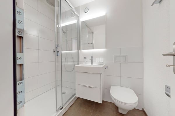 Totalsanierte Wohnung mit Abendsonne 5