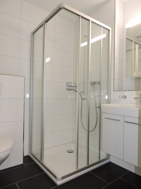 Moderne Wohnung mit grossem Balkon am Fusse der Rigi 11